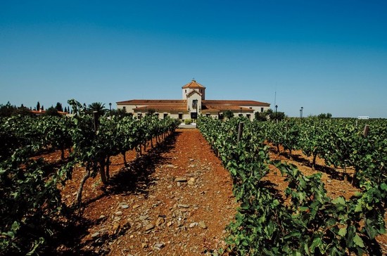 Bodegas Martínez Paiva