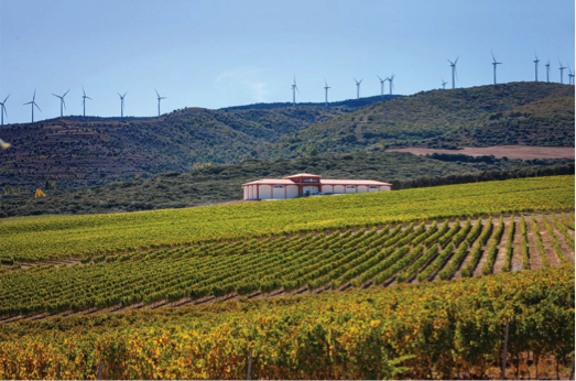 Finca Carbonera: the highest altitude vineyard of the D.O.Ca Rioja