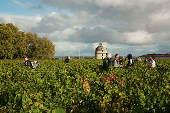 Image: Chateau Latour, p268 © Lothar Baumgarten