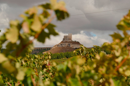 图片版权：Consejo Regulador de la Denominación de Origen Ribera del Duero