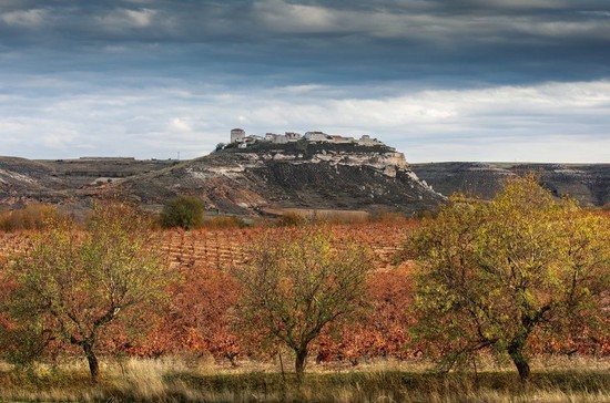 Image: The old Salomón vineyard, at the foot of the medieval village of Haza (DO Ribera del Duero)