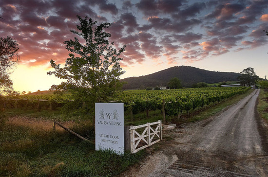 雅拉优伶酒庄(Yarra Yering)坐落于雅拉谷,酿造冷凉气候风格的霞多丽。图片版权:维多利亚州葡萄酒协会。