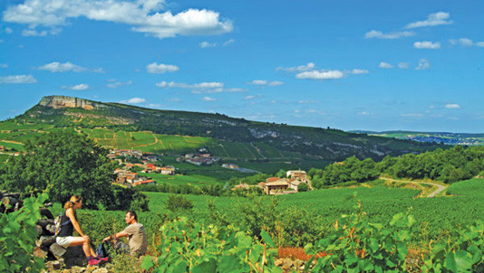 Mâconnais, Burgundy, France