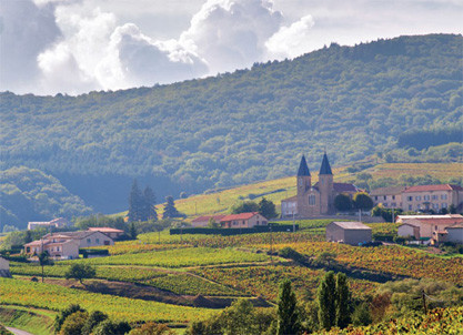 Beaujolais, France