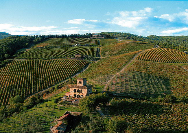 Castello d’Albola, the highest vineyard in Chianti Classico