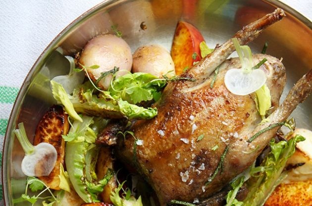 Whole roast pigeon with peaches, turnips and sage – recipes and wine pairings