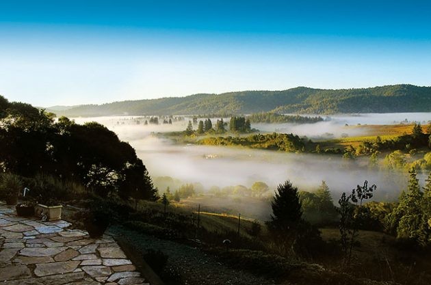Decanter travel guide: Anderson Valley, California