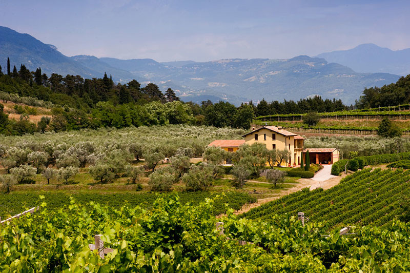 帝纳兹：南北意大利独一无二的葡萄酒旅游体验