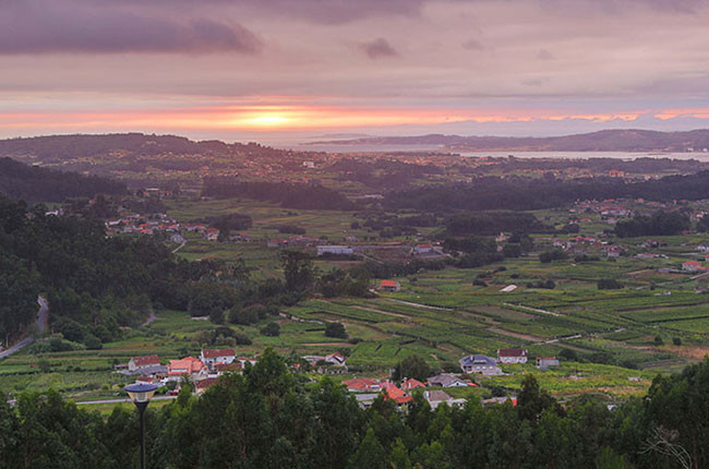 Vionta - The Freixenet family’s Galician adventure