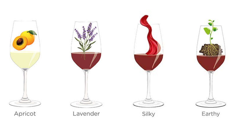 Tasting Note Decoded: Apricot, Lavender, Silky, Earthy