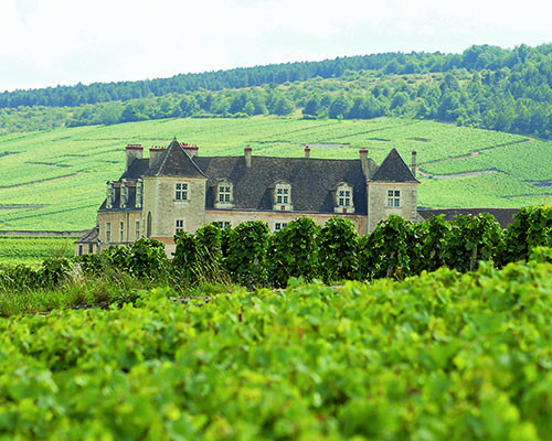 History of wine in 100 bottles: Monasteries – Clos de Vougeot