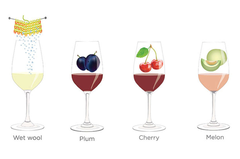 Tasting notes decoded: Wet wool, plum, cherry, melon