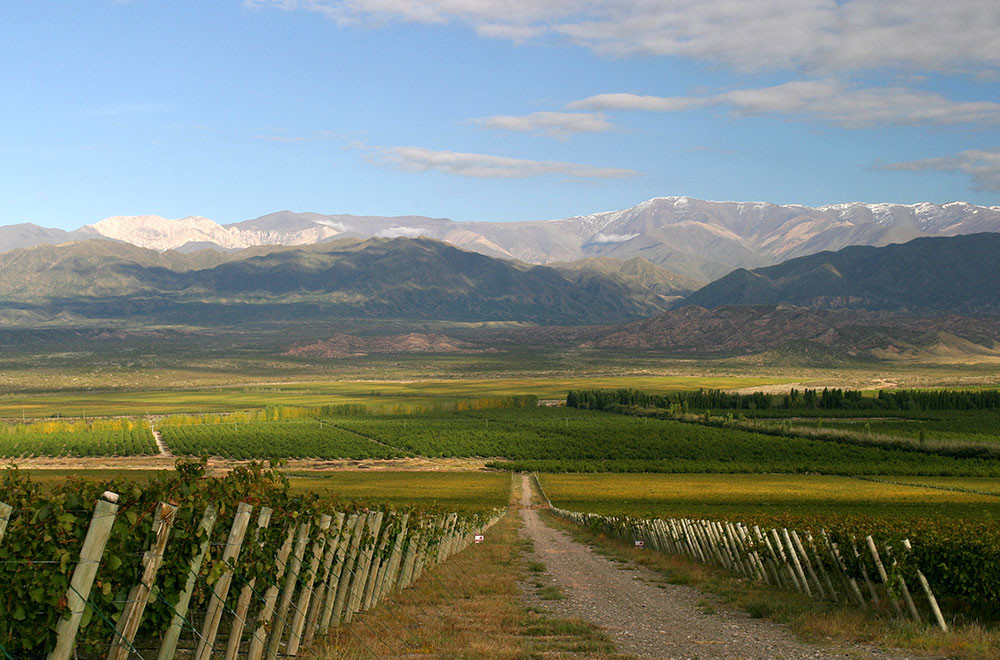 Finca Las Moras: shaking the wine world’s status-quo