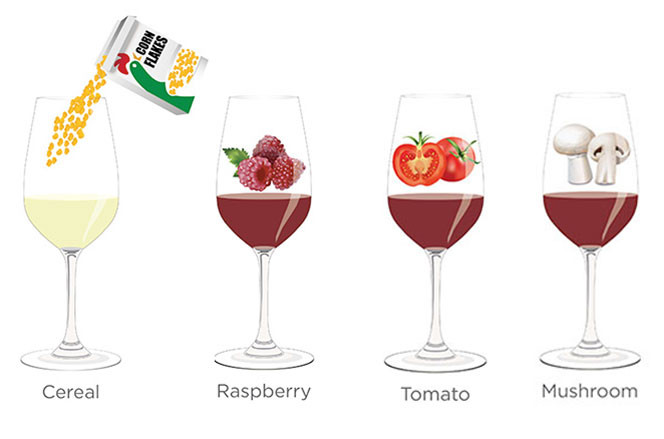 Tasting notes decoded: Cereal, raspberry, tomato, mashroom