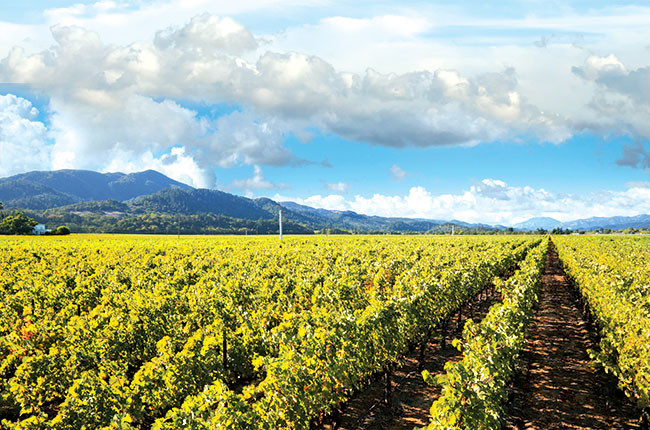 Five Californian vineyards to know