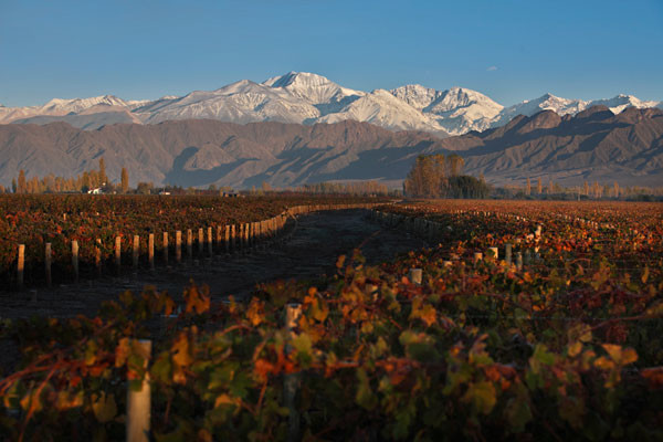 A slice of Europe in the Andes