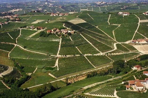 Barbaresco: first among equals