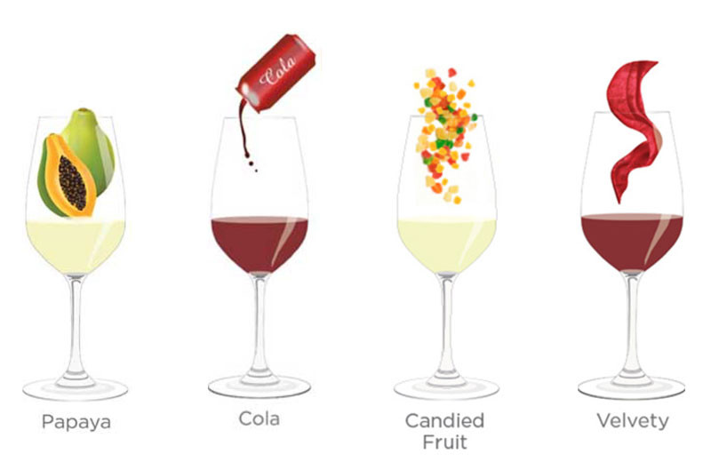 Tasting notes decoded: Papaya, Cola, Candied fruit and Velvety
