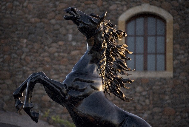 Taste Black Stallion Estate Winery Napa Valley Cabernet Sauvignon with Winemaker Ralf Holdenried 