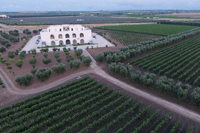 Tinazzi - Venetian expertise in Italy’s Puglia region