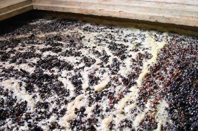 Open-top fermentation - Ask Decanter