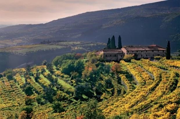 The changing styles of Valpolicella: Fresh vs dried grapes