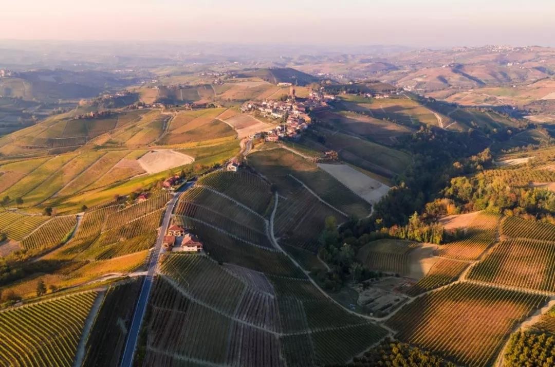 Barolo 2015 & Barbaresco 2016