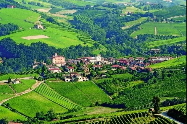 Barolo 2010 Vintage Guide