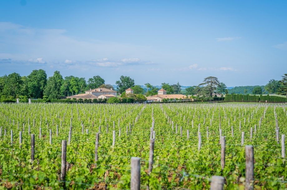 Exclusive first look inside billionaire Jack Ma’s Bordeaux project