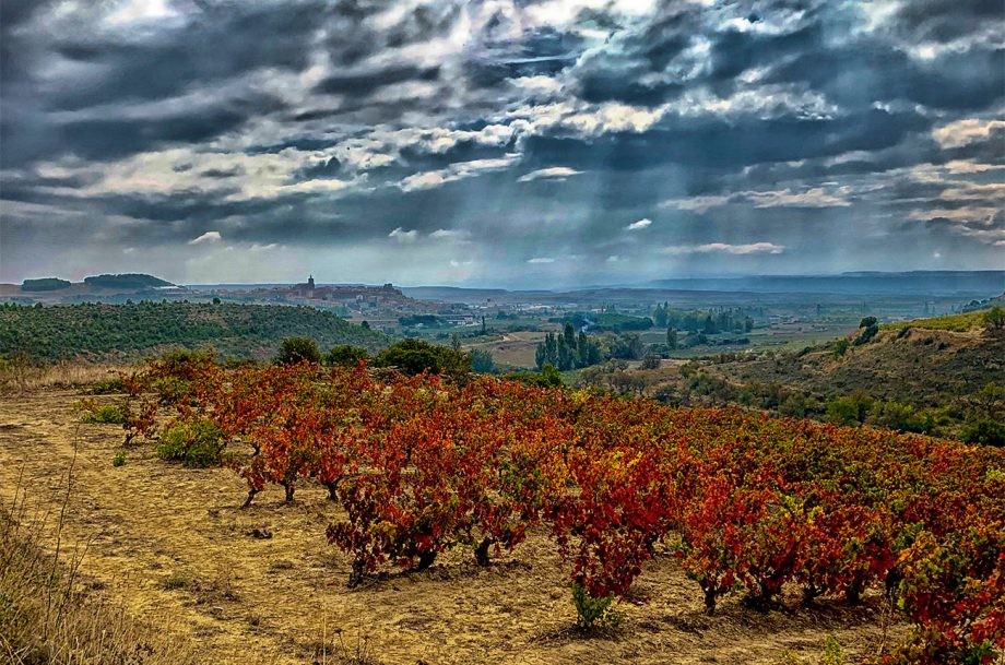 Bodegas Ondarre: The terroir interpreter