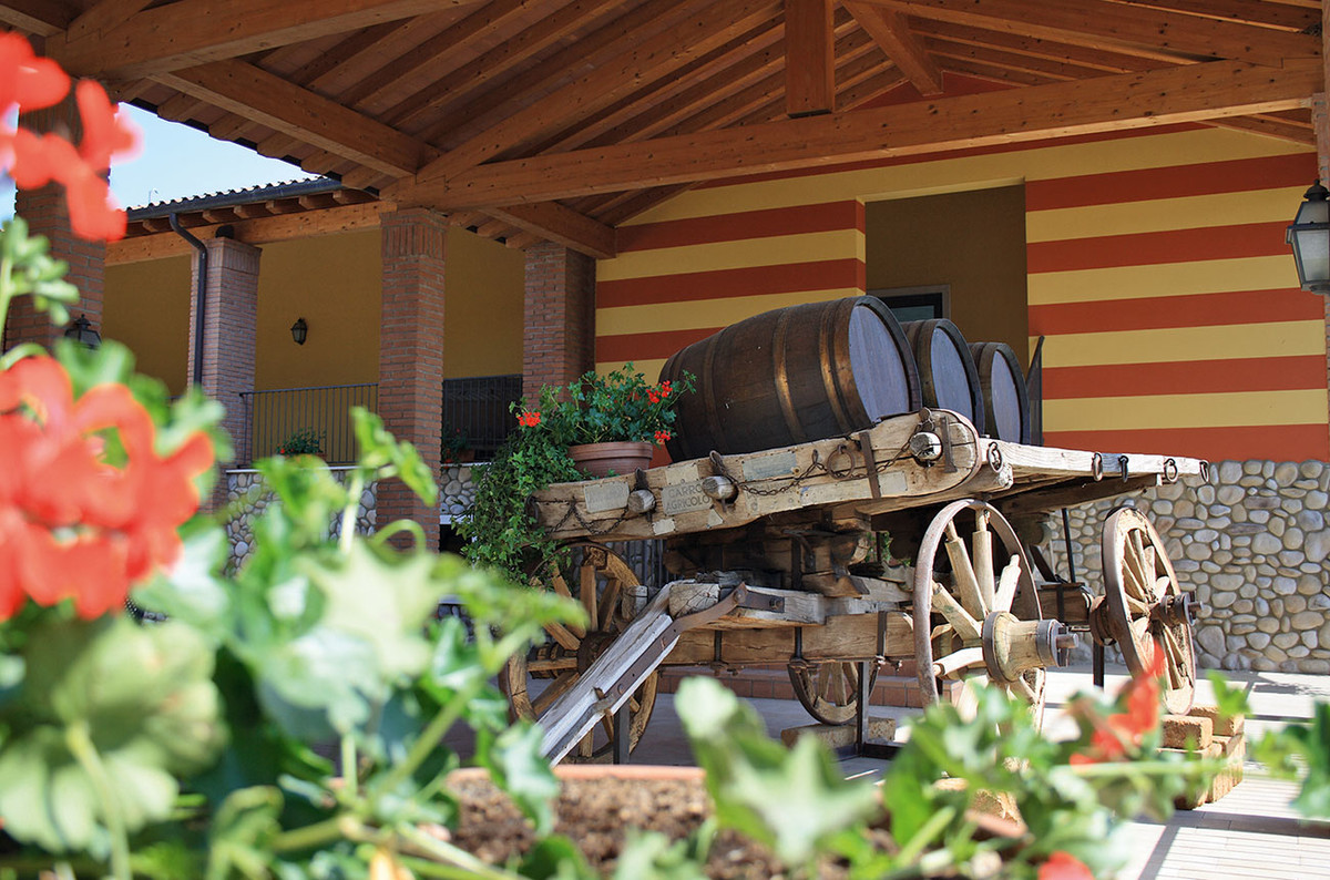 Tinazzi winery: a brand with a long tradition but with an innovative organic soul 