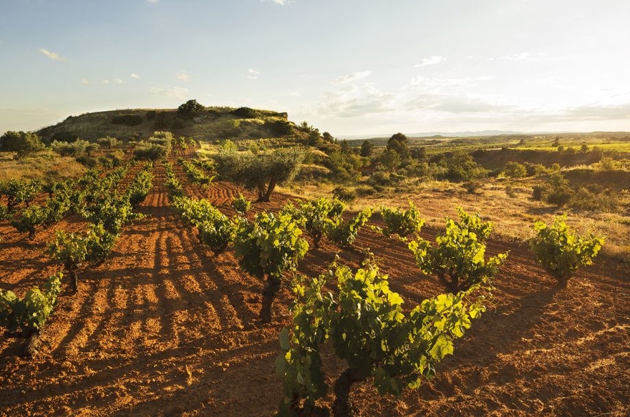 Utiel Requena, the historic lands of Bobal