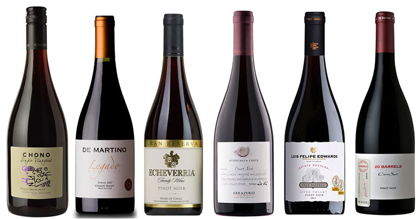 17 Chilean Pinot Noirs recommended at Decanter Panel Tasting