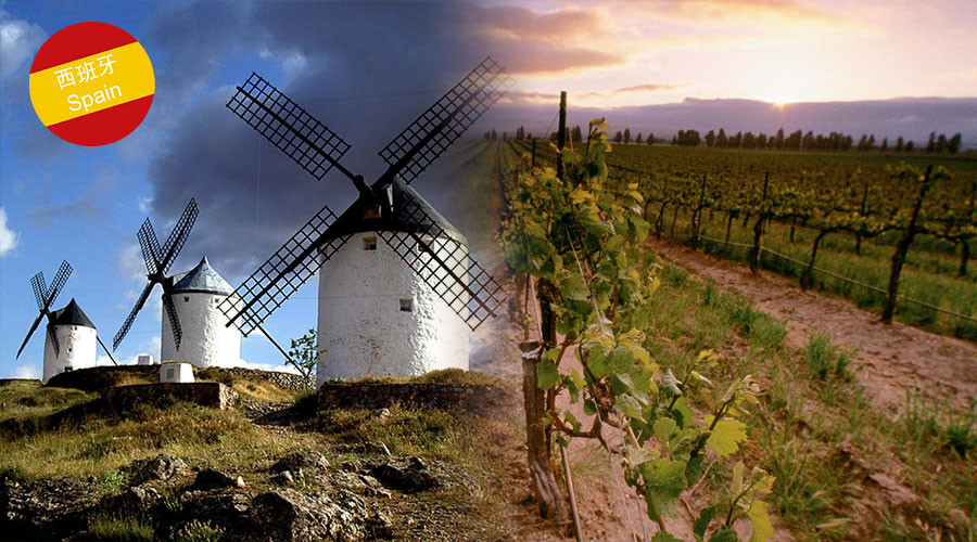 Castilla-La Mancha exclusive wine masterclass seminars