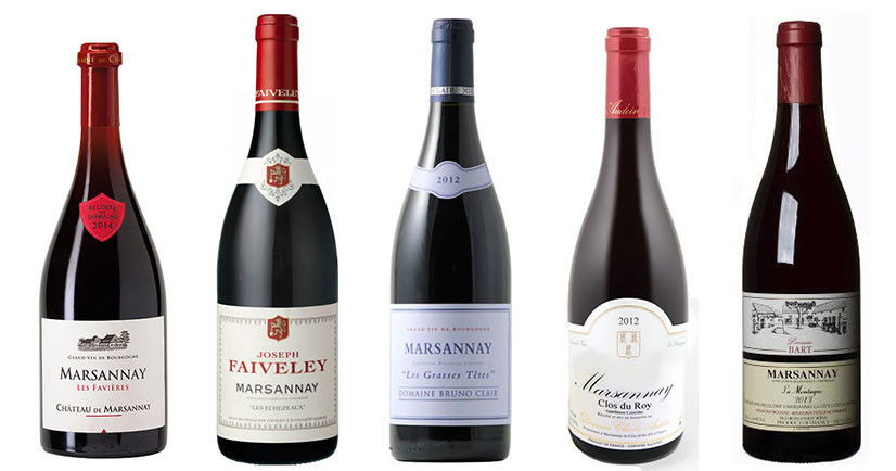 5 Marsannay reds of the 2013 vintage