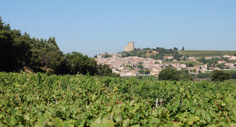 Châteauneuf-du-Pape/Tavel Communiqué