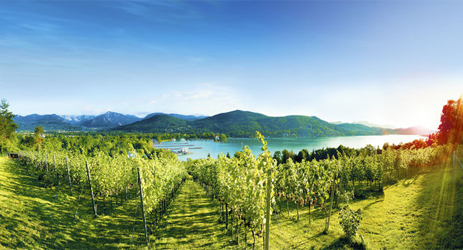 SUSTAINABLE AUSTRIA – Certified Sustainable Wine