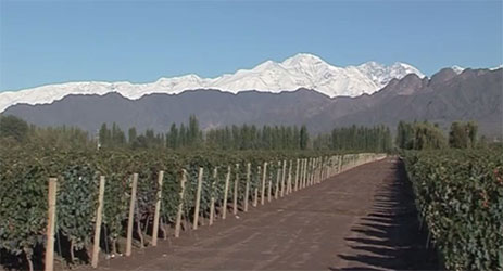 Mendoza: Land of Elements