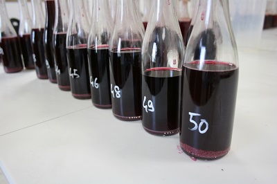 juice samples at Louis Jadot