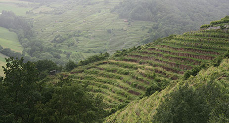 Up the steep hill