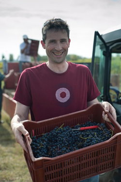 Justin Howard-Sneyd, Domaine of the Bee