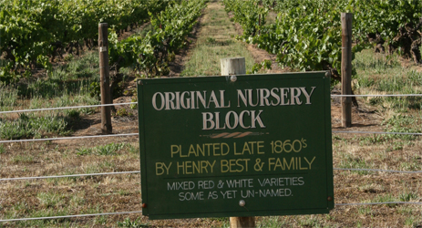 澳大利亚：高档葡萄酒的荆棘之路