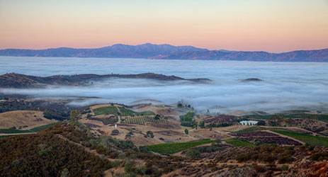 A morning at the wine frontier