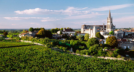 Land fever in Saint Emilion