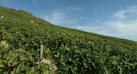 The hills of Sancerre