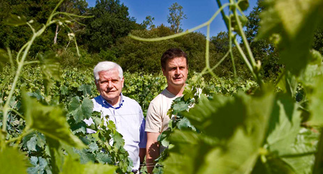 Will a biodynamic wine become Bordeaux’s first single-vineyard AOC?