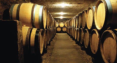 New wine and Montagny party: tasting cellar © BIVB / ARMELLEPHOTOGRAPHE.COM