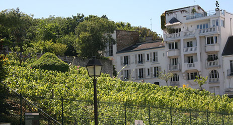 The balcony winemakers of Paris