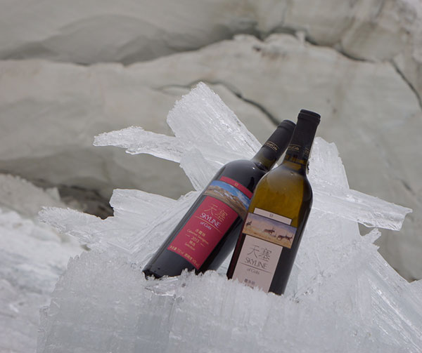 Skyline of Gobi Vineyard wines on the glacier