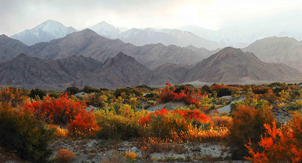 Tian Shan scenery